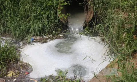 An Giang: Xử phạt một doanh nghiệp 370 triệu đồng vì xả thải không phép