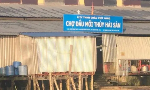 An Giang: Xử phạt Công ty Châu Việt Long 370 triệu đồng vì xả thải trực tiếp ra sông Hậu