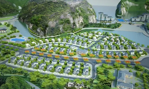 Nợ 'đầm đìa', Vinaconex tiếp tục huy động 2.200 tỷ làm dự án gần 10 năm 'đắp chiếu' Amatina Cát Bà