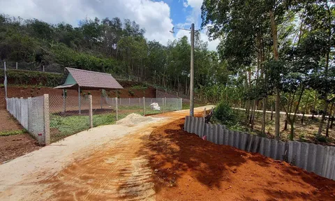 Bát nháo tình trạng xây dựng, phân lô bán nền trái phép ở Bà Rịa- Vũng Tàu