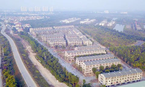 Dự án Vạn Tuế - Sago Palm Garden (Hưng Yên): Đấu thầu sau khi phát hiện sai phạm