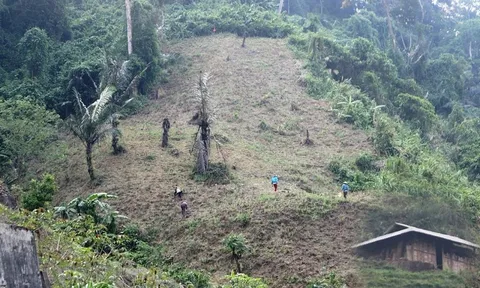 Đề nghị rà soát chuyển đổi đất trồng lúa, đất rừng phòng hộ làm dự án