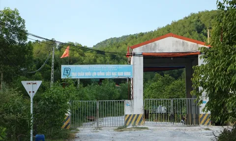Trại lợn giống Tam Hưng: Có hay không việc sử dụng GCNQSDĐ “giả” để chiếm đoạt đất của Nhà nước?