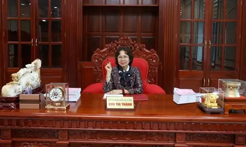 Chân dung doanh nghiệp trúng đấu giá lô đất ở huyện Gia Lâm