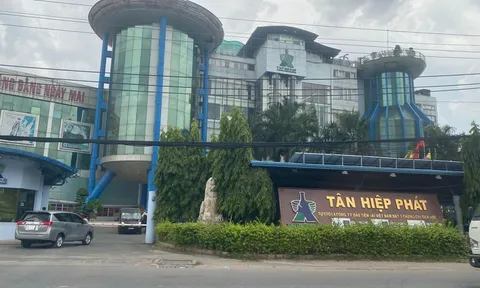 Nghi án thông đồng dìm giá khu đất ngàn tỷ tại Côn Đảo: Bài 1 - Hàng loạt dấu hiệu vi phạm ngay từ khâu chuẩn bị đấu giá