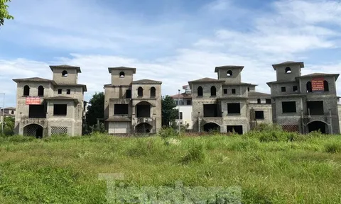 Điểm mặt các khu biệt thự triệu đô bỏ hoang ở Hà Nội trước đề xuất đánh thuế