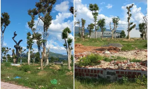 Kỳ 1: Những lùm xùm xung quanh quanh việc đấu giá lô đất C19, Khu đô thị Nam Đăk Bla, thành phố Kon Tum