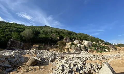 Vụ xây dựng trái phép trên núi Thị Vải: Gần 17.000m2 đất rừng phòng hộ bị chiếm