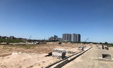 TMD Group và Plaschem cùng nhau thâu tóm những lô đất vàng tại Gia Lâm?