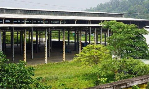 Dấu chấm hết cho dự án sản xuất ô tô 'made in Việt Nam' tại Thanh Hóa
