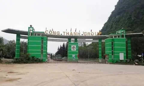 Nhà băng nào lo 'sốt vó' khi Xi măng Công Thanh tiếp tục lỗ khủng 771 tỷ, kiểm toán nghi ngờ khả năng hoạt động?