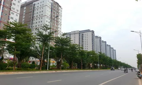 Hà Nội dừng triển khai dự án BT của Nam Cường