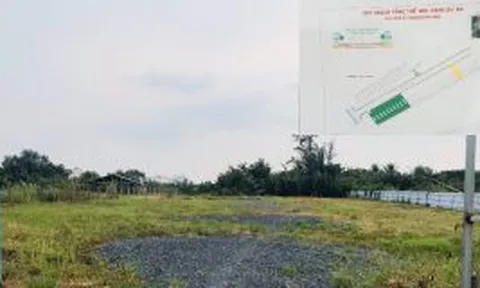 Tp.HCM: Công ty VLXD Thành Công bị tố lừa đảo