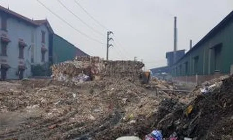 Vi phạm về môi trường, 8 doanh nghiệp ở CCN Phú Lâm bị đình chỉ, xử phạt gần 2,5 tỷ đồng