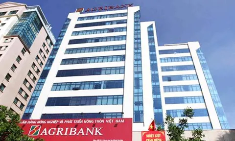 Agribank đang làm gì trước thềm cổ phần hoá?