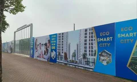 Coi chừng các dự án căn hộ 'lúa non' ở Hà Nội