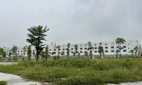 Thanh Hóa: Giao hàng chục nghìn m2 đất cho doanh nghiệp không thông qua đấu giá, đấu thầu?