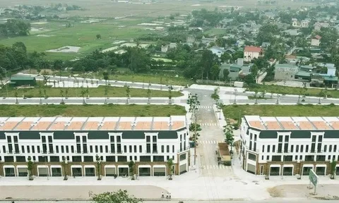 Thanh Hóa: Giao đất bất thường cho doanh nghiệp chia lô bán nền không qua đấu giá, đấu thầu