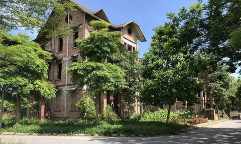 Chủ đầu tư dự án khu đô thị Hà Phong bỏ hoang nhiều năm làm ăn ra sao?