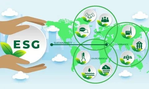 Nắm bắt xu hướng toàn cầu, các quỹ đầu tư tiên phong tìm kiếm cơ hội đầu tư ESG tại Việt Nam