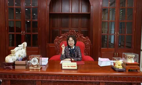 Trúng đấu giá 'đất vàng' TQ5 Gia Lâm siêu rẻ: Ai đứng sau Tập đoàn Thiên Minh Đức?