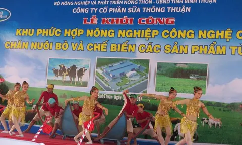 Bình Thuận xem xét chấm dứt dự án 479ha của Công ty Thông Thuận