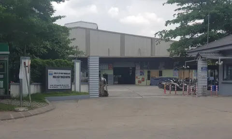 Mê Linh (Hà Nội): Cần xử lý dứt điểm sai phạm ở công ty Thuận Hưng