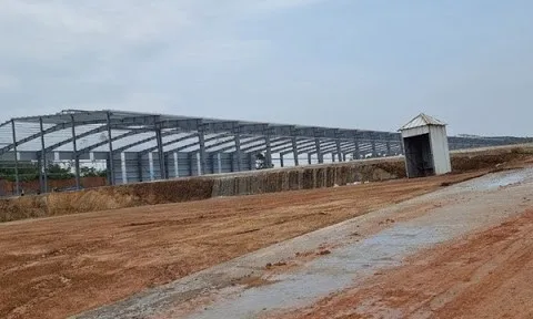 Phú Thọ: Xây dựng không phép, CTCP Takao Granite bị UBND huyện Tam Nông xử phạt 40 triệu đồng