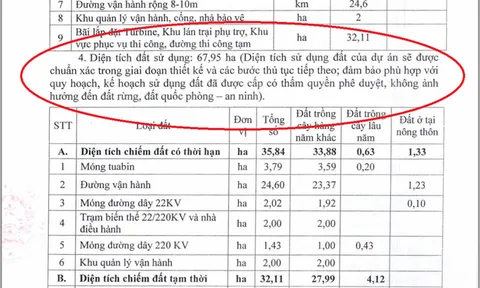 Gia Lai ‘mở đường’ cho xây dựng dự án điện gió trên đất rừng?