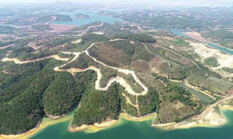 Dự án Khu đô thị sinh thái Đại Ninh (Lâm Đồng): Bị 'tuýt còi', nhưng… vẫn có thể tiếp tục thực hiện