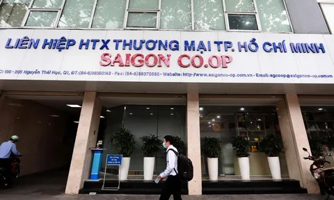 Vụ góp vốn ‘chui’ vào Saigon Co.op: Đề nghị điều tra thêm 2 HTX