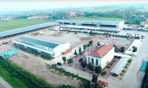 Bức tranh tài chính của Vận tải Viết Hải: Doanh thu hàng nghìn tỷ, lãi 'nhỏ giọt'