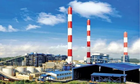 Kinh doanh dưới giá vốn, Nhiệt điện Phả Lại lỗ gộp đến 76 tỷ đồng quý II