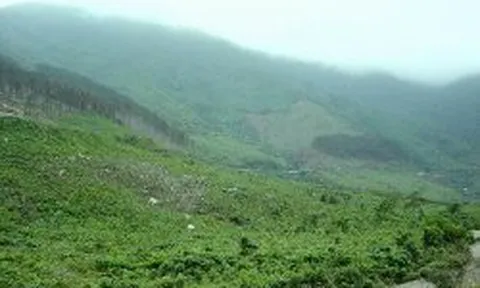 Nghi vấn công trình sử dụng đất lậu ở Hà Tĩnh