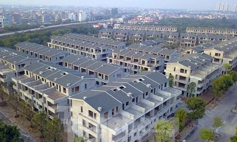 Hé lộ nhà đầu tư nhảy vào hợp thức hơn 200 biệt thự Vạn Tuế-Sago Palm 'xây chui, bán sai'