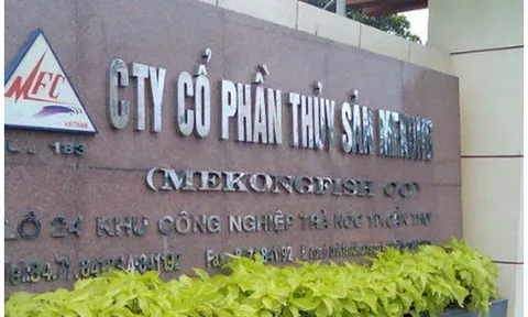 Đã lỗ quý I, Thủy sản Mekong lỗ nặng hơn trong quý II