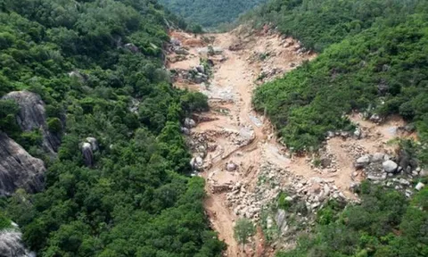 Bà Rịa - Vũng Tàu đề nghị công an điều tra, xử lý nghiêm vụ núi Thị Vải bị 'xẻ thịt'