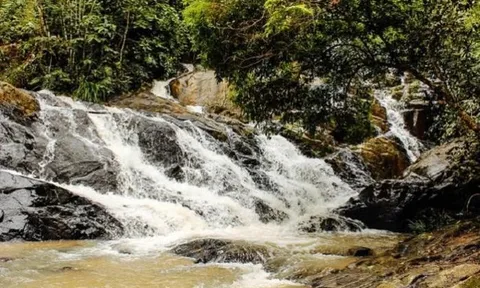 Công ty Cổ phần Du lịch Đà Lạt: Lỗ triền miên vẫn đề xuất làm khu du lịch 40ha tại Lâm Đồng