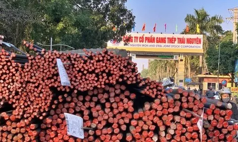 Điểm mặt những 'con nợ' trăm tỷ khó đòi của Gang Thép Thái Nguyên