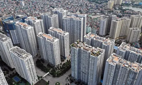 Thanh tra Chính phủ chỉ ra loạt sai phạm đất đai ở Hà Nội