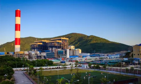 Ngàn tỷ đồng tại PVPower vào tầm ngắm Kiểm toán Nhà nước