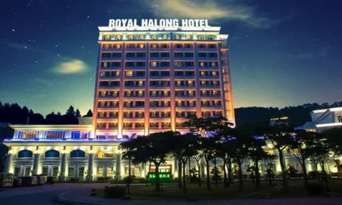 “Ông chủ” Casino Royal báo lỗ quý thứ 7 liên tiếp