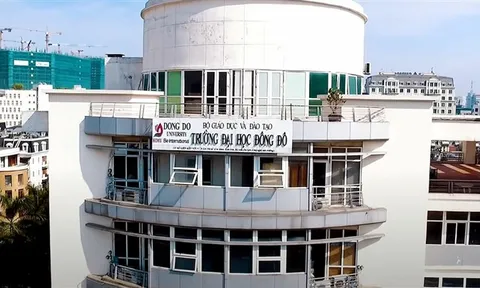 Xử lý cá nhân, đơn vị thuộc Bộ Giáo dục và Đào tạo liên quan đến sai phạm tại Đại học Đông Đô