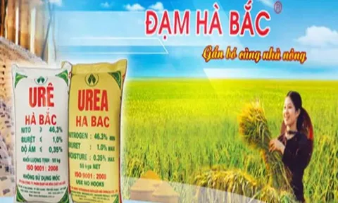 Đạm Hà Bắc bị nghi ngờ về khả năng hoạt động liên tục: Chủ nợ lớn nhất là VietinBank?