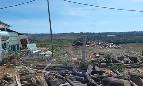 Kon Plông (Kon Tum): Nhiều dự án đầu tư chậm trễ, chưa hiệu quả