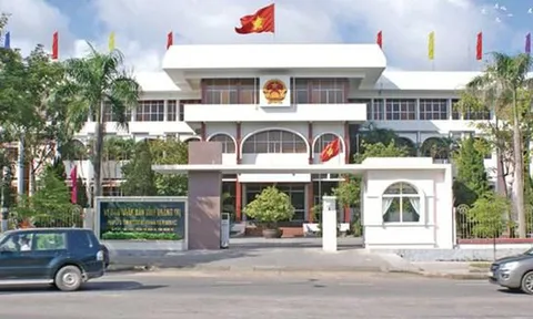 UBND tỉnh Quảng Trị chỉ đạo làm rõ phản ánh ồ ạt bạt rừng thi công điện gió khi chưa đủ điều kiện