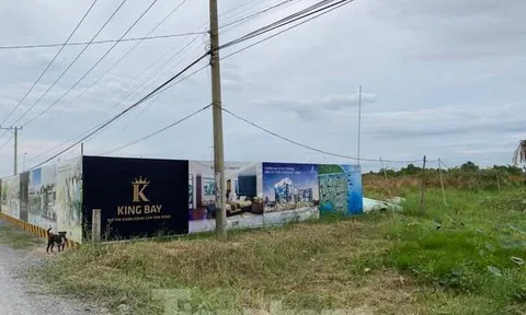 Loạt sở ngành của Đồng Nai phải tổ chức kiểm điểm vì 'dính' sai phạm đất đai