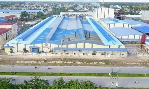 Bức tranh tài chính của Vicenza trước khi được chấp thuận đầu tư kho vận 300 tỷ đồng tại Thanh Hóa