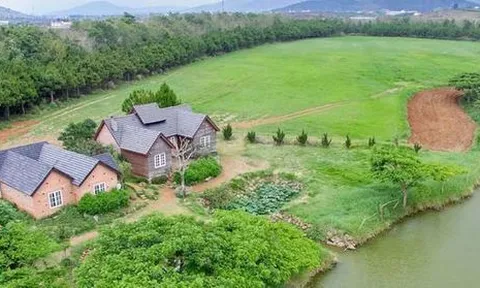 Vi phạm bảo vệ môi trường, Dalatmilk bị phạt 328 triệu đồng