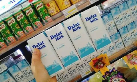Ông chủ của Dalatmilk vừa bị phạt hơn 300 triệu đồng vì vi phạm môi trường là ai?
